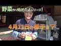 【野菜作り始めたよシリーズ】4月11日の野菜畑の様子を紹介します