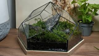 Polygonal glass terarium with moss