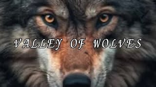 Valley Of Wolves Official Audio
