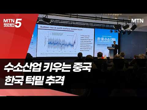 수소산업 전방위로 키우는 中…5년 새 韓 턱밑 추격 / 머니투데이방송 (뉴스)