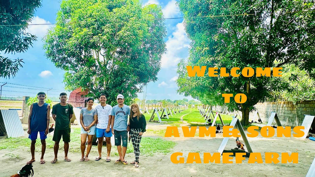 Welcome to AVM & SONS GAMEFARM | Genesis Mendoza Update 2024
