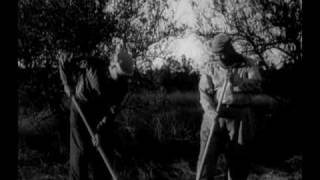 Plan 9: Graverobbers from Outer Space - Part 1 of 3 Trilogy