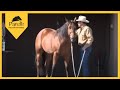 Parelli Natural Horse Training Tip - Standing to be Groomed