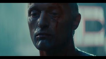 Introduction to the "Calm" Philosophy of Stoicism (Stoicism 1/4)