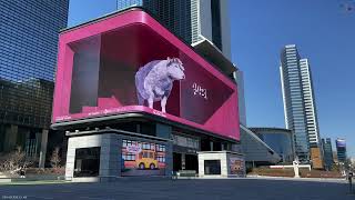 GIANT 3D Billboard in Gangnam near Samsung LED Signage - Everyday Life - in South Korea, Seoul