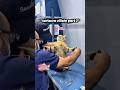 YANG MULIA KUCING #shorts
