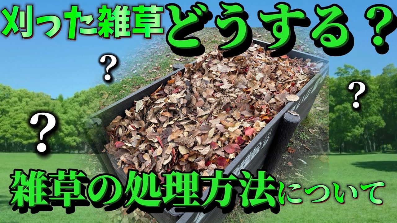 Learn how to dispose of cut weeds! - YouTube Learn how to dispose of cut weeds! - YouTube