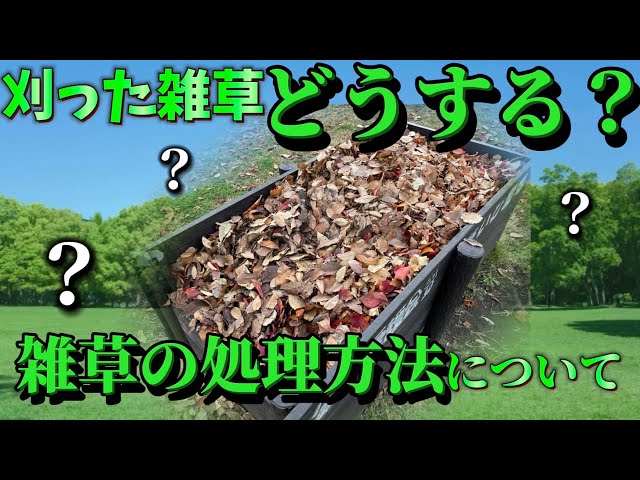 草の処分 sddefault.jpg