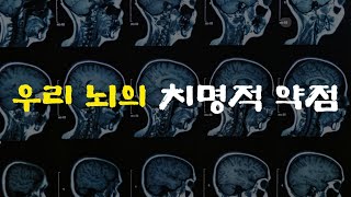 [2강] 우리 뇌의 치명적인 약점