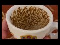 Pisces You’re Closer to Success Than You Realize Coffee Cup Reading