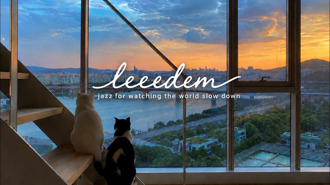 Cats Fading into the Sunset 🐈 | Quiet Contemporary Jazz - YouTube