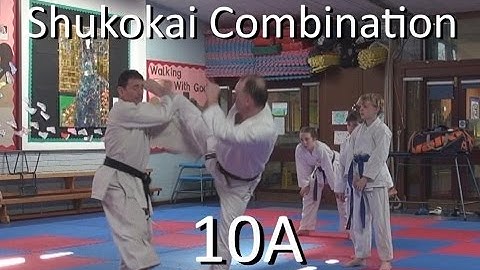 Shukokai combination 10A  demo