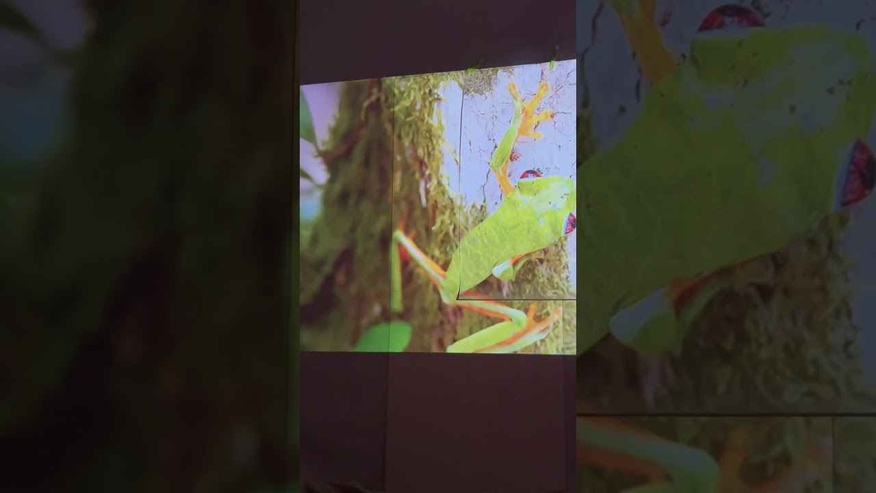 wanbo t2 ultra,тест простынь,баннер 440 г/м2,двп