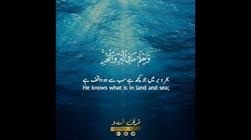 🍂وما تسقط من ورقة إلا يعلمها🍃 سورة الأنعام:٥٩|الشيخ علي جابر|Surah al An'aam:59|Sheikh 'Ali Jaber