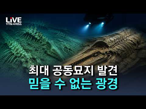 믿을 수 없는 광경..바닷속 초거대 '고래 <strong>공동묘지</strong>', 히말라야 '수백 구 해골' [반복재생] / YTN 사이언스