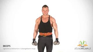 Ćwiczenia Na Biceps - Uginanie Przedramion Z Sztangielkami Stojąc Atlascwiczen.pl