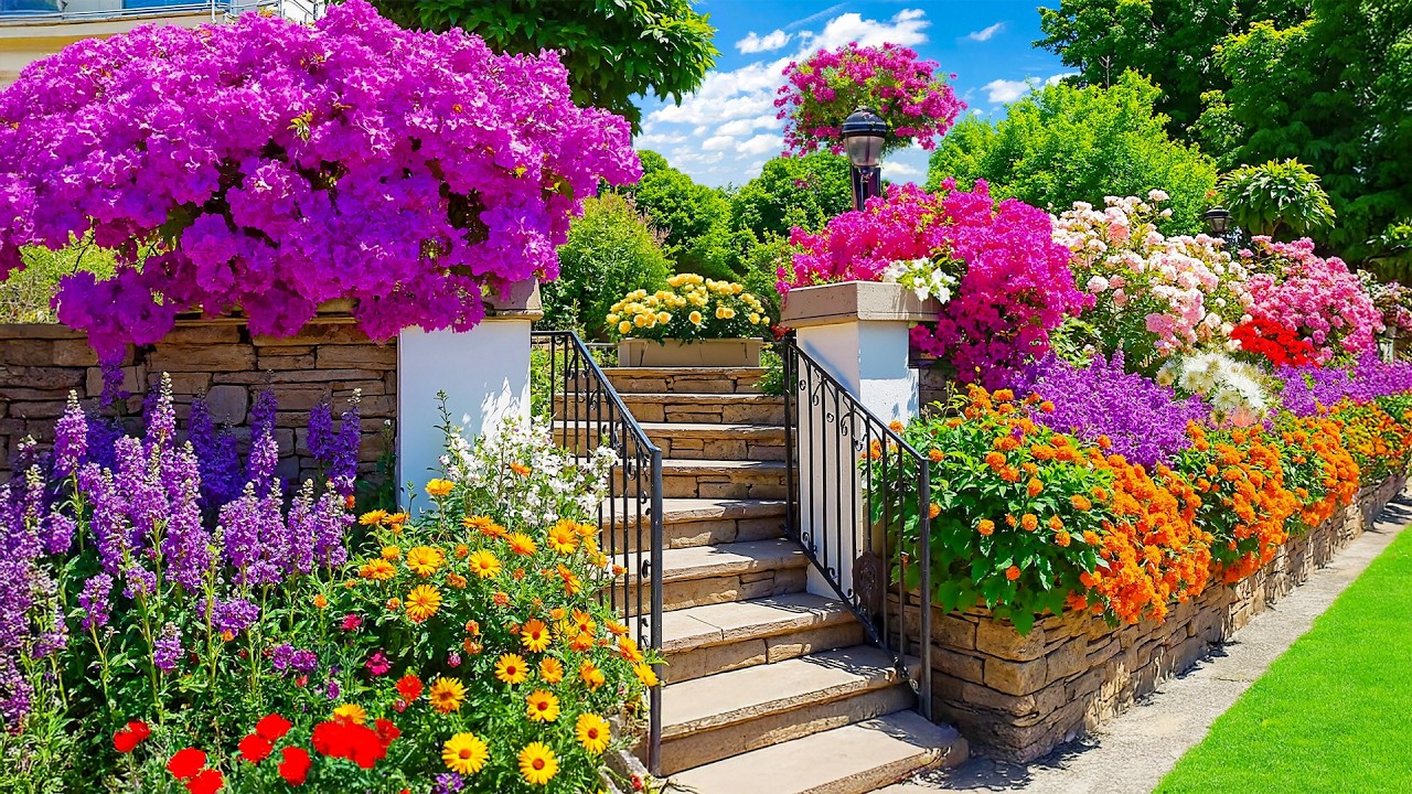 希少 8㎝ CD　Beautiful Garden 　Beautiful The World's Most Stunning Gardens Revealed! | A Breathtaking Tour