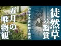 【おやすみ前に聴く朗読】徒然草の鑑賞・五月の唯物観／寺田寅彦