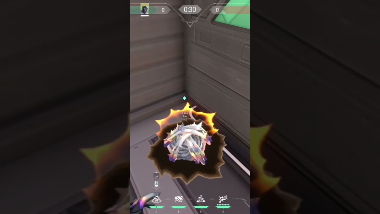 Quick Vyse setups guide for Sunset A 