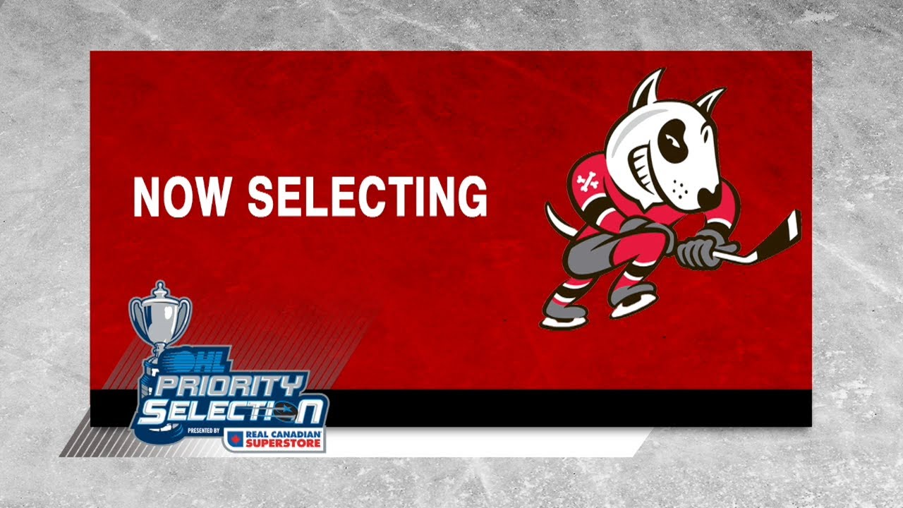 2019 OHL Priority Selection | Niagara IceDogs Recap
