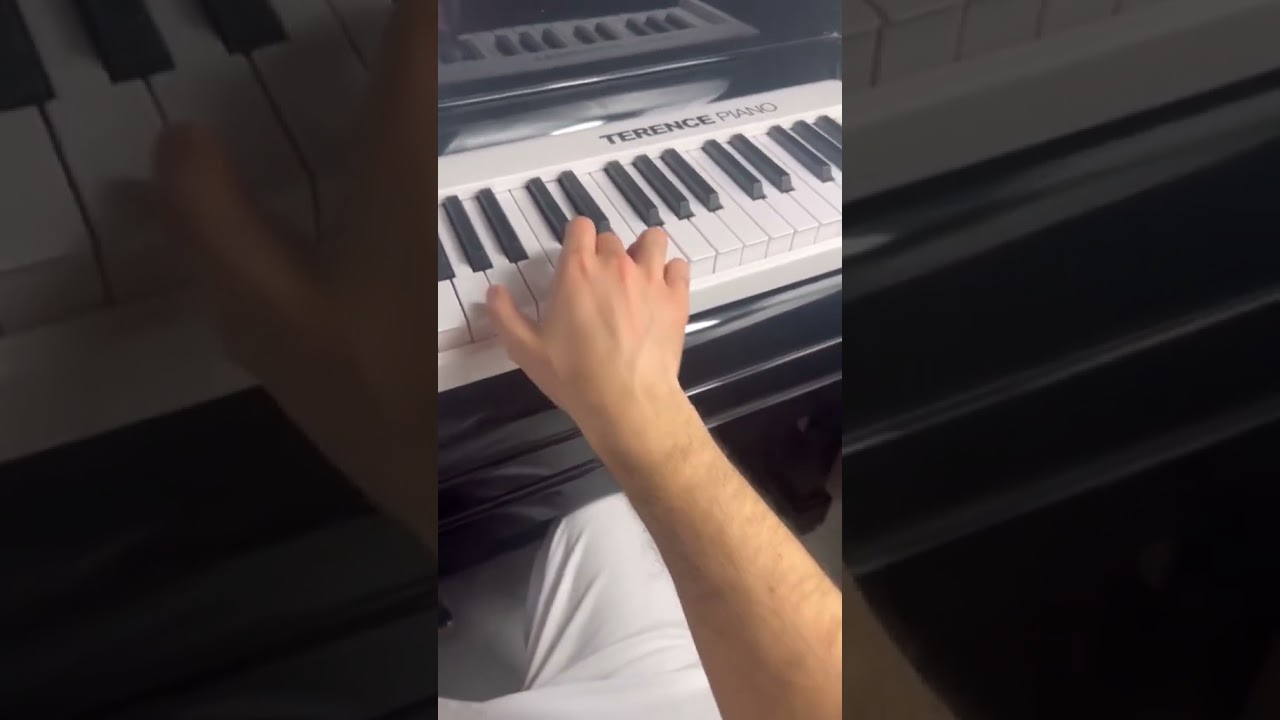 Thanks flavio.belardo, Very Wonerful Playing! Terence Piano X88C 