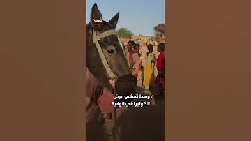 اليونيسف 640 ألف طفل معرضون للمجاعة والأمراض والعنف في دارفور بالسودان 