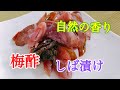 発酵しば漬け　　梅酢で香り高いお漬物