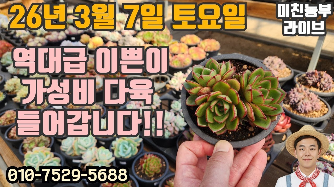 2026.3.7 미친농부 라이브 #다육#다육이#식물#succulent#くしょくぶつ#crazyfarmer