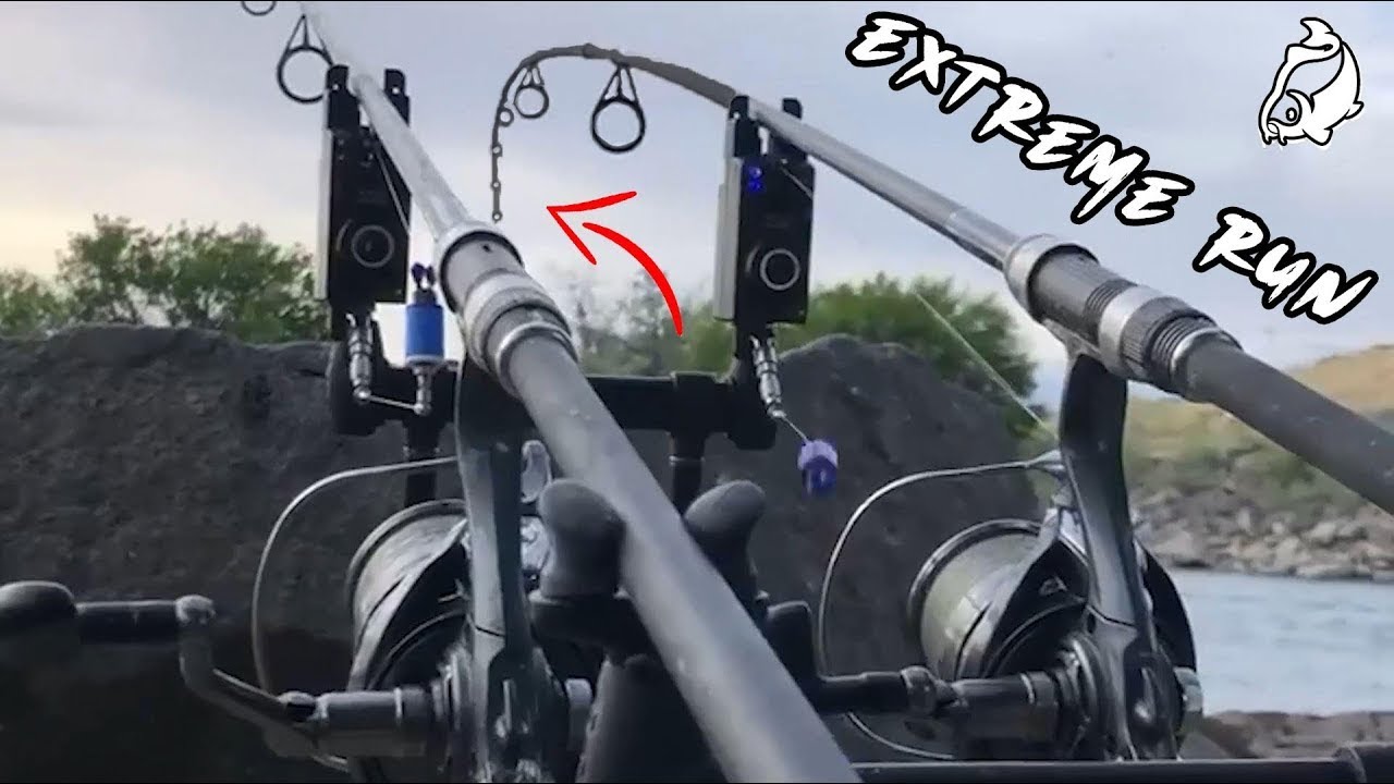 CARP RUN COMPILATION 2025! EXTREME CARP RUN'S