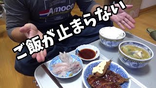 釣った魚を調理して食べたらご飯が止まらなかった