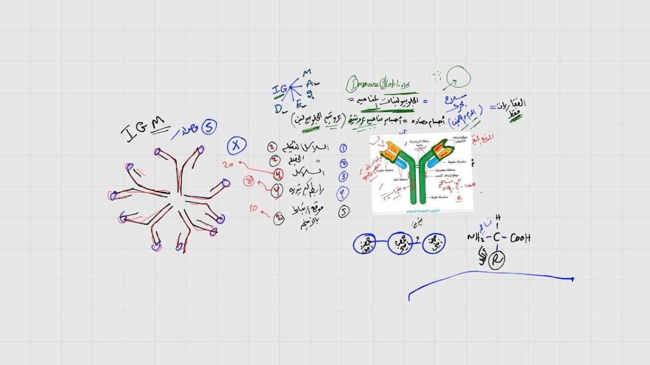 شرح ومراجعة الأجسام المضادة والمواد الكيميائية المساعدة للصف الثالث الثانوي 2026