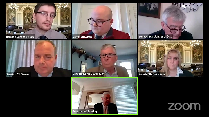 Senate Commerce Committee Remote Public Hearing (1/19/21)