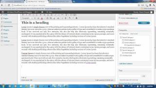 How To Use WordPress Kitchen Sink?