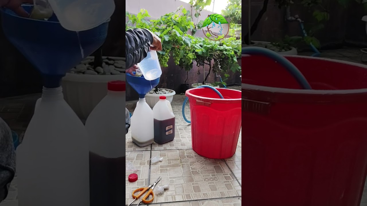 Cara Melarutkan Nutrisi Kemasan Dua Liter