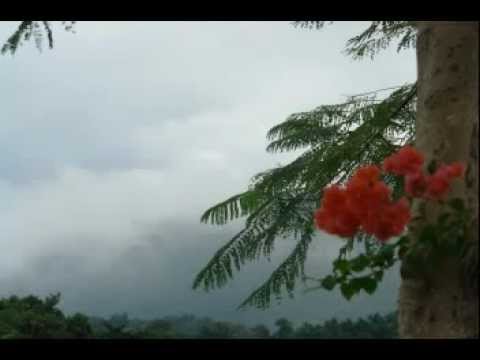 Apple Valley Park, Jamaica