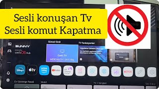 Sunny Webos Tv Sesli Komut Kapatma