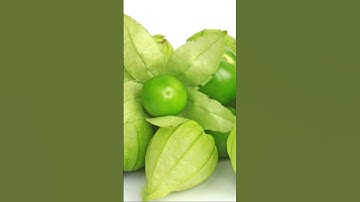 Cây Tầm bóp / Cây Thù lù = Có vị chua cung cấp vitamin C #shorts #Câytrồng