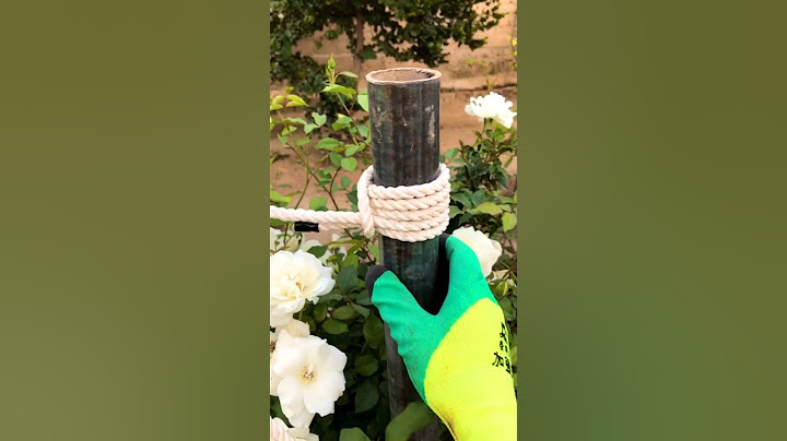 Secure pole wrapping with rope Clove hitch and multiple turns//💯👍#shorts #howto #knot