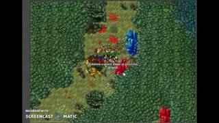 Deeplings World Change primeiro estagio