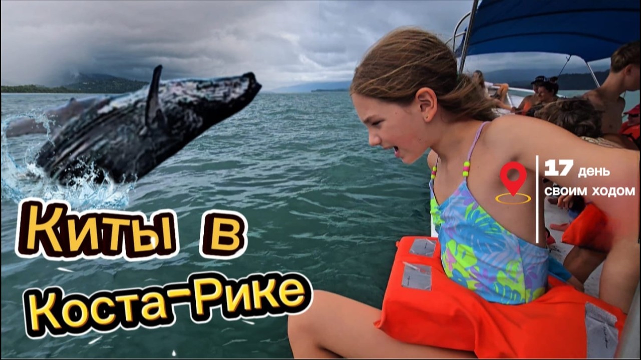 Где увидеть китов в Коста-Рике в августе? Своим ходом на машине с ребенком в Увиту, реальный опыт