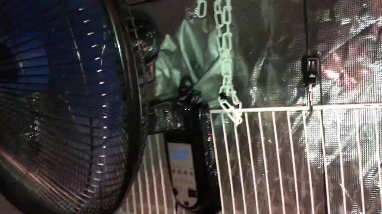 How To Set Up A Wall Mounted Fan In A Grow Tent Very Easy YouTube how-to-set-up-a-wall-mounted-fan-in-a-grow-tent-very-easy-youtube