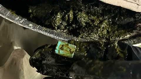 Accelerated Aging System 205