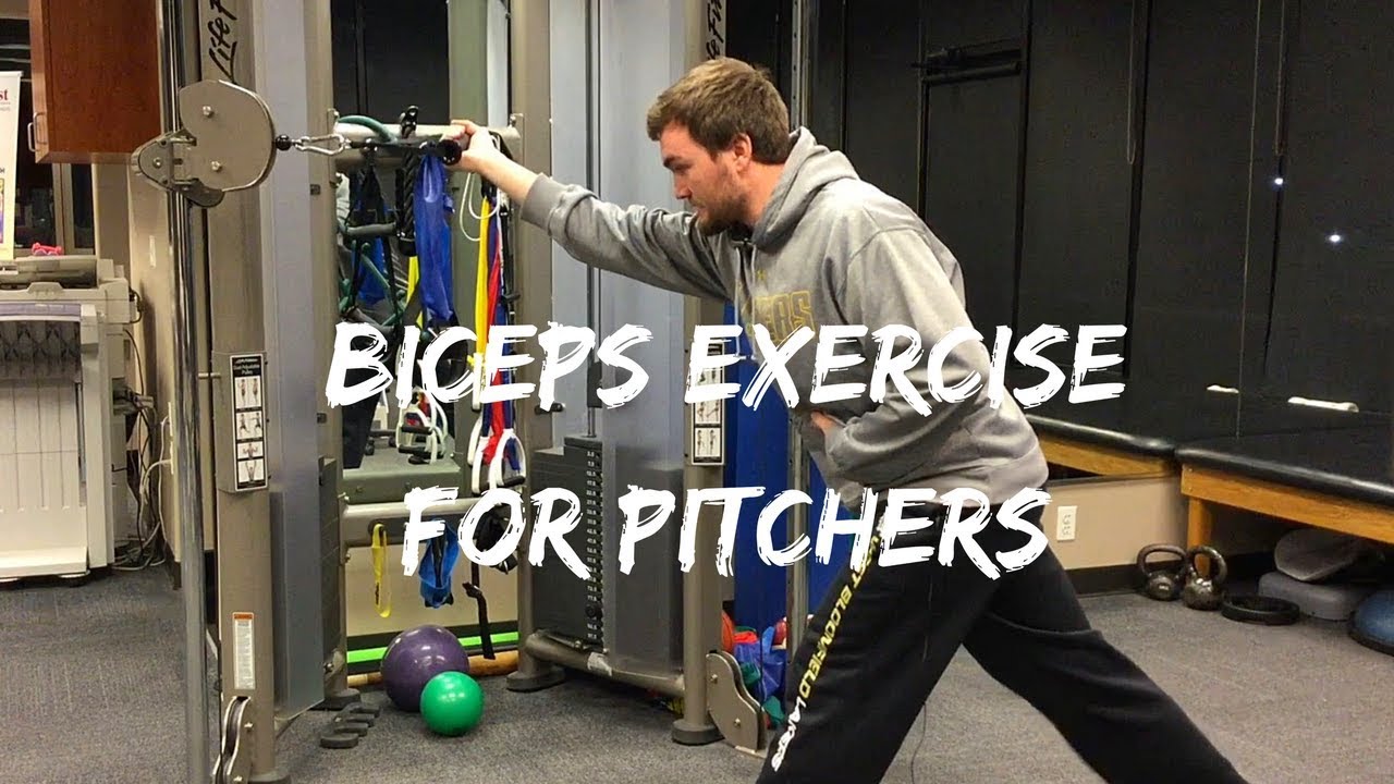 Bicep Exercise For Pitchers