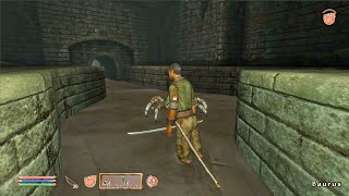 the only time Ive ever had this Oblivion glitch