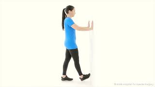 Standing Calf Stretch (HSS)