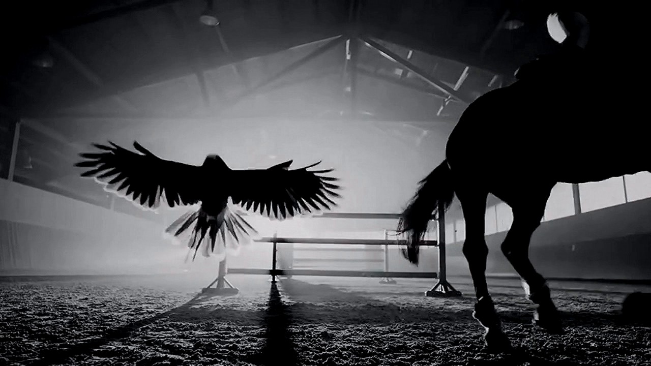 Mojashi - Red Alert (Original Mix) (Preview)  AlYf / Recordings