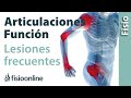 Articulación - Estructura, funcionamiento y lesiones más frecuentes