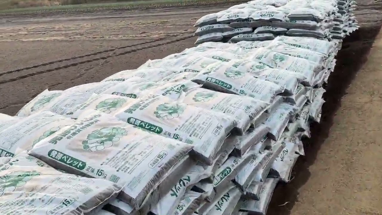 種まき開始！　苗買う場所とタイミング注意