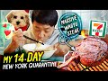 My 14 Day NEW YORK Quarantine | Korean 7-ELEVEN BREAKFAST Dumplings & MASSIVE Wagyu Steak