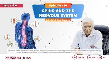 EASY SPINE | Episode 18 | Spine & The Nervous System